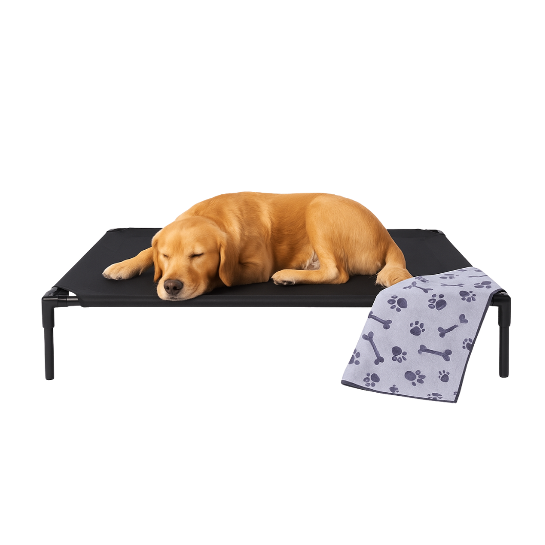 PawLoft® Indoor/Outdoor Elevated Dog Bed