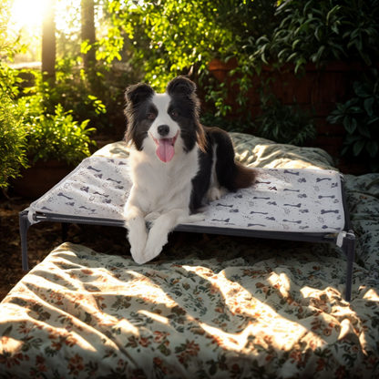 PawLoft® Indoor/Outdoor Elevated Dog Bed