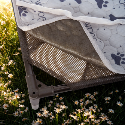 PawLoft® Indoor/Outdoor Elevated Dog Bed